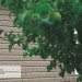 Сайдинг Ю-Пласт TIMBERBLOCK Пихта (Тимберблок) Cахалинская купить в Успенском