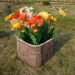 Цветник КАНЬОН купить в Успенском